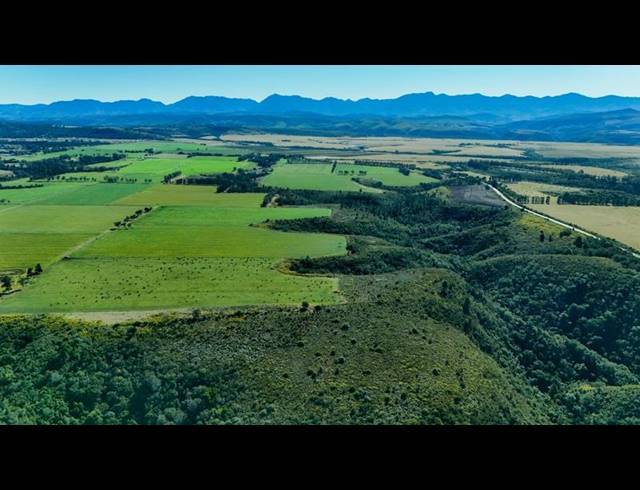 FARM FOR SALE IN WITTEDRIFT AH